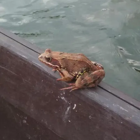 Prázdninový dům Pod Kogutem